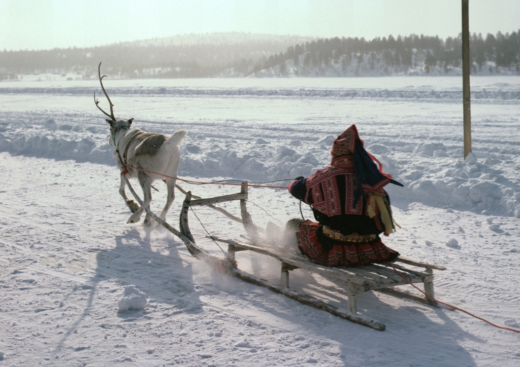 arctic reindeer sled