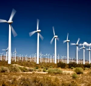 Environment & Science