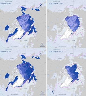 Arctic Sea Ice