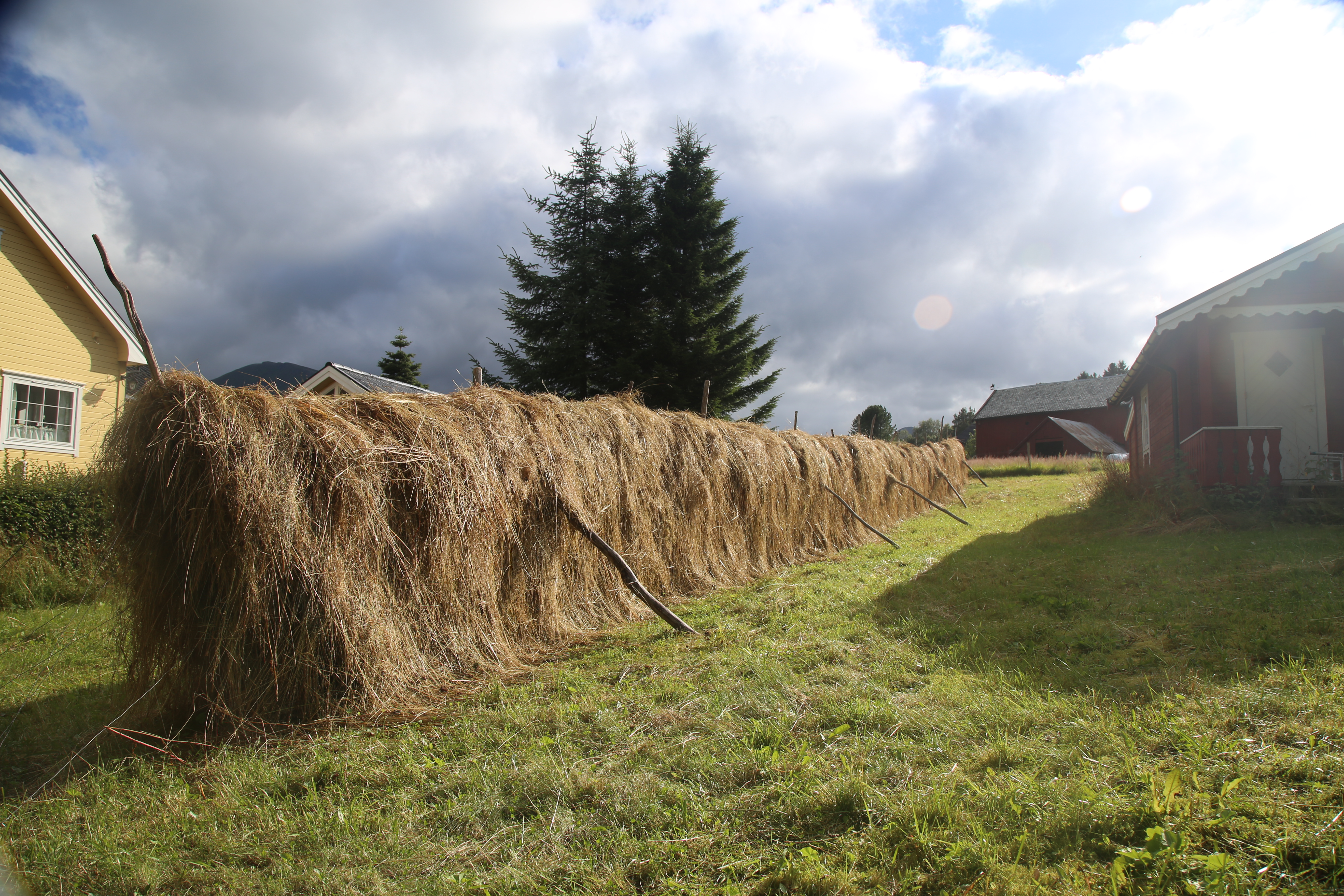 Agriculture in Norway