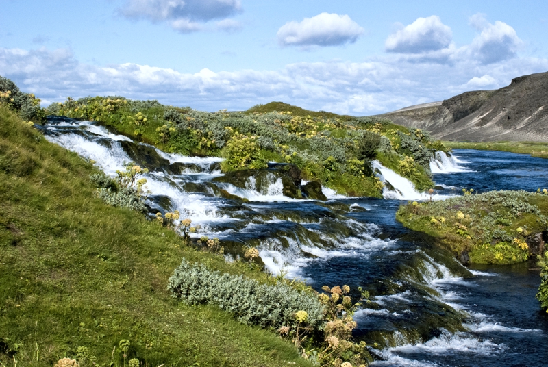 Riverside during summer - Iceland