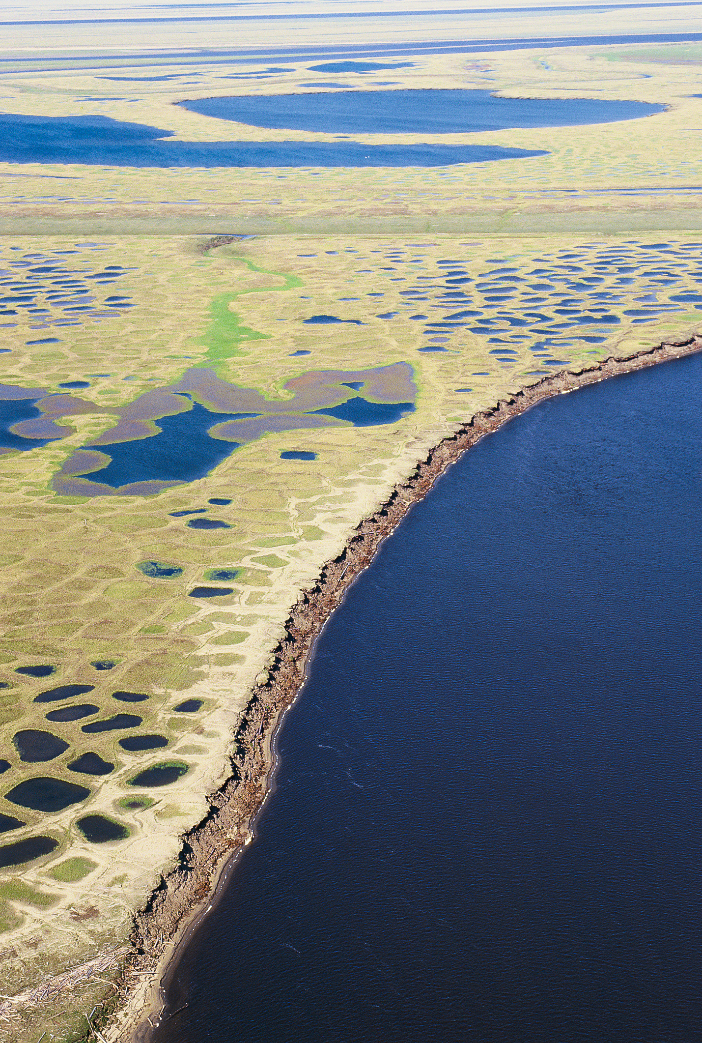 Polygon Lakes in the Arctic Tundra