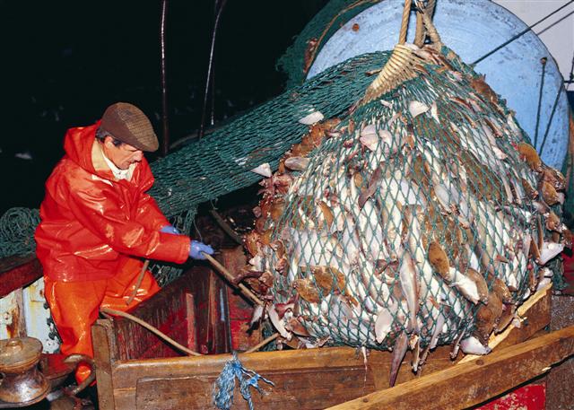 Fisherman on a ship