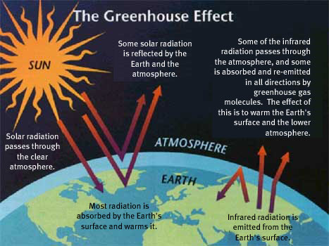 The Greenhouse Effect