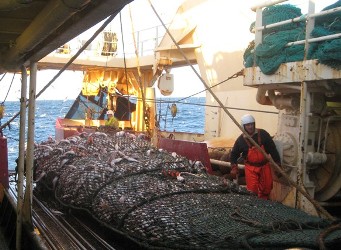 Trawler fishing