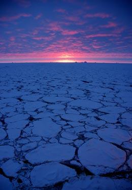 arctic sea ice during the night