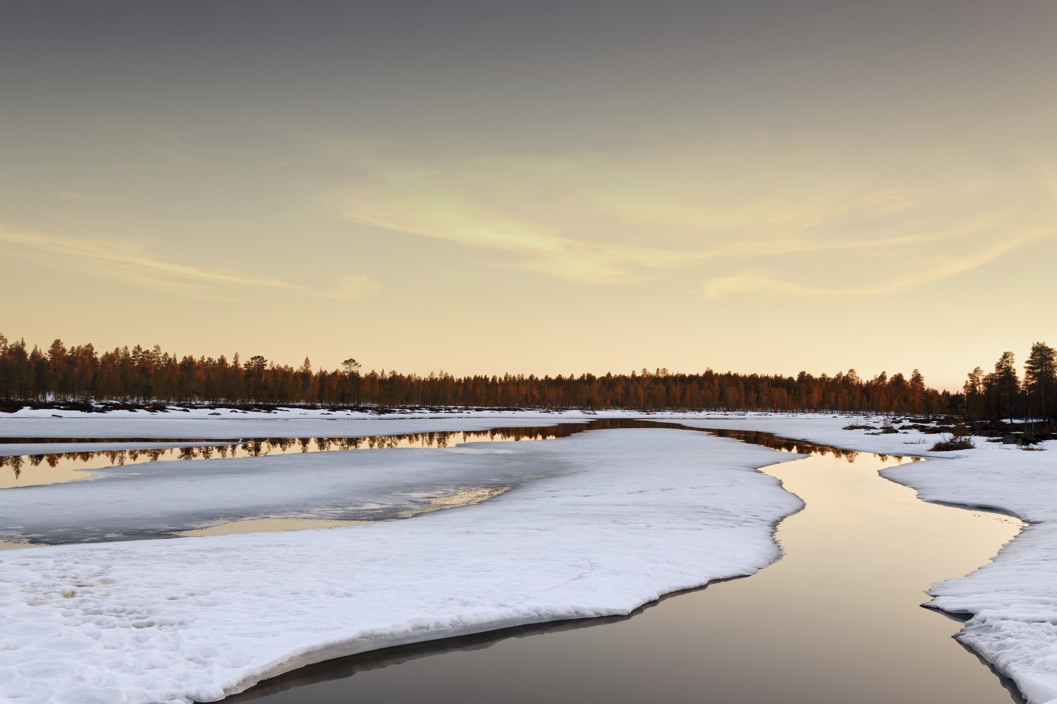 Arctic landscape