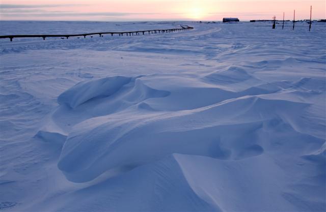 Arctic landscape