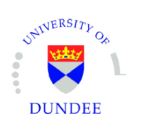 University of Dundee