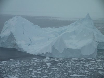 Sea Ice in the arctic