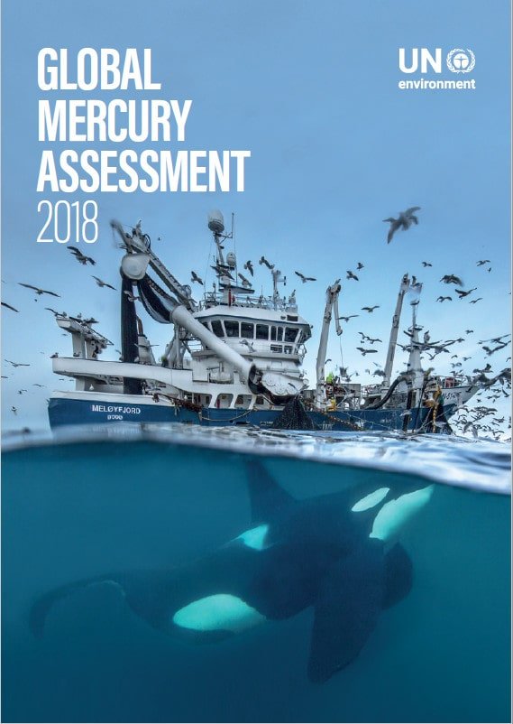 Global Mercury Assessment 2018 cover