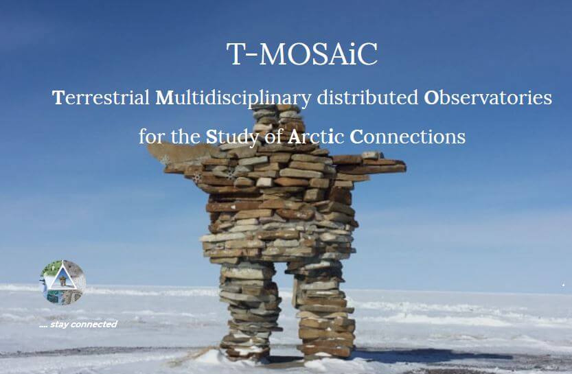 T MOSAiC