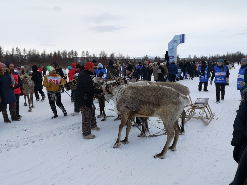 International Traditional Reindeer Herding Championship